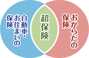 自動車・お住まいの保険　超保険　おからだの保険